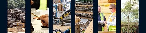 New webinar series aims to strengthen timber construction skills The Timber in Construction Skills Programme webinar series has been launched